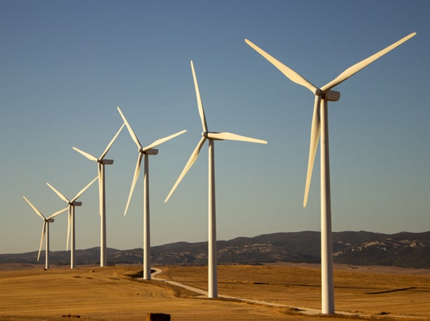Wind Sector Industry
